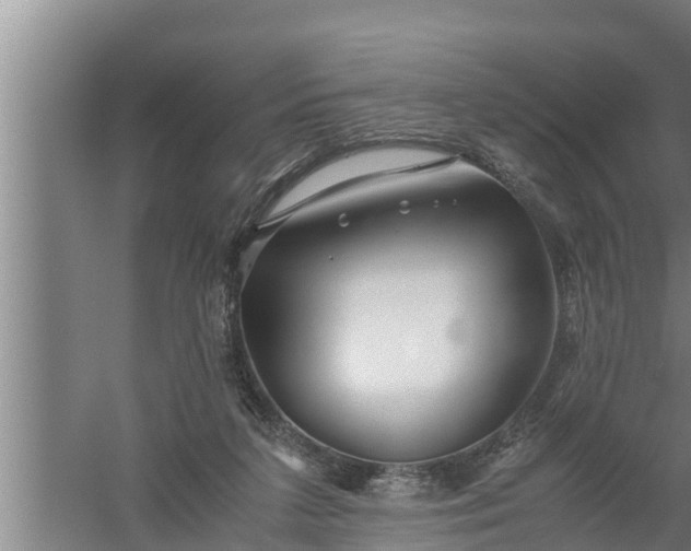 X0000059850211200510281900