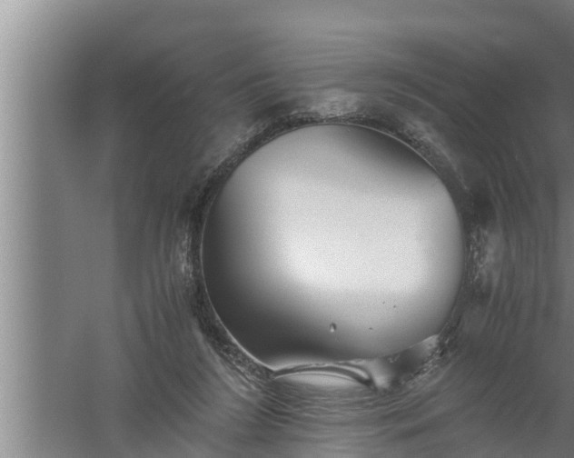 X0000059850212200510281900