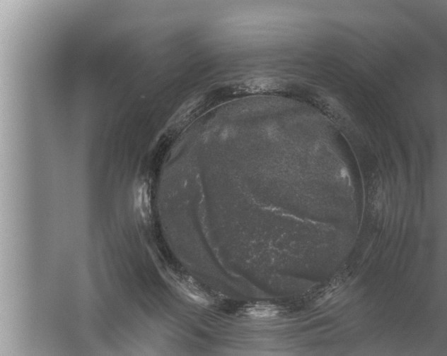 X0000059850214200510281900