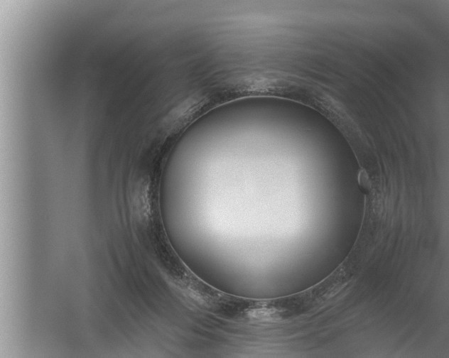 X0000059850216200510281900