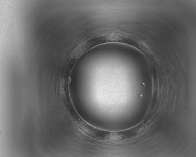 X0000059850217200510281900