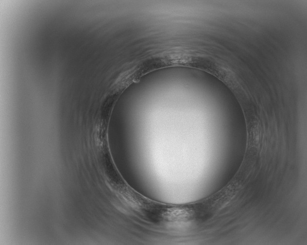 X0000059850218200510281900