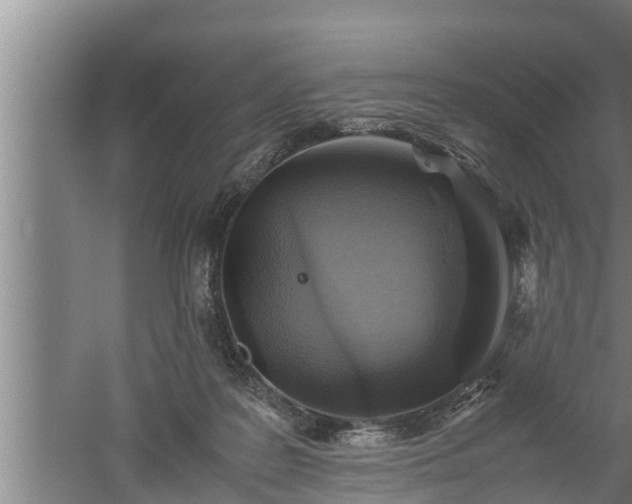 X0000059850219200510281900