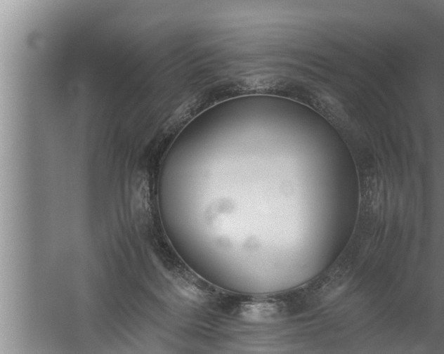 X0000059850220200510281900