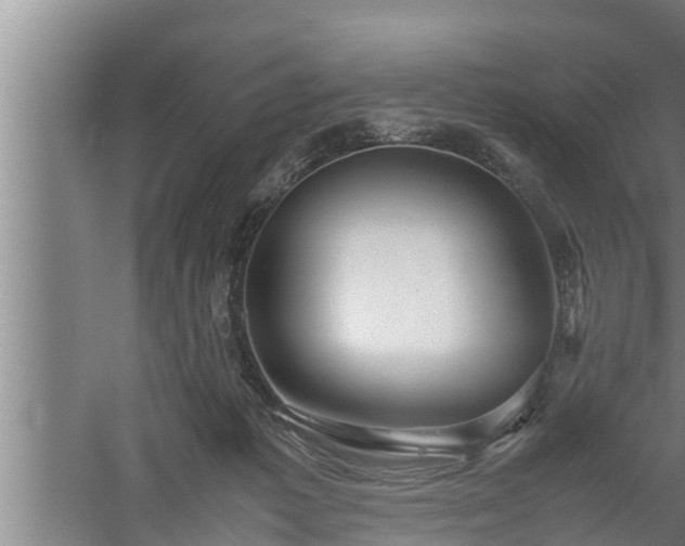 X0000059850221200510281900