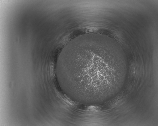 X0000059850222200510281900