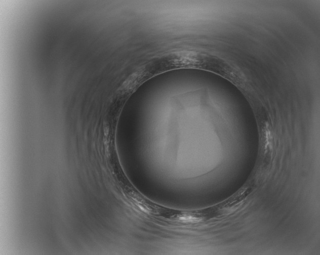 X0000059850223200510281900