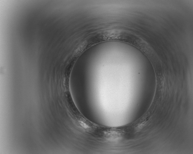 X0000059850224200510281900