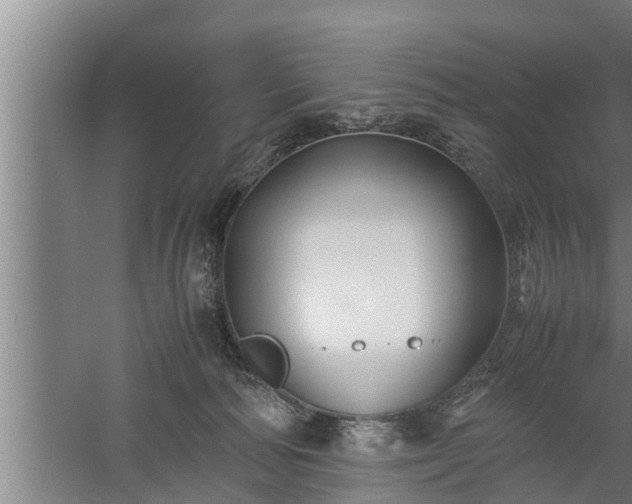 X0000059850226200510281900