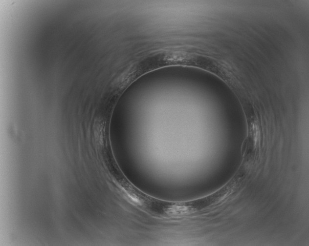 X0000059850227200510281900