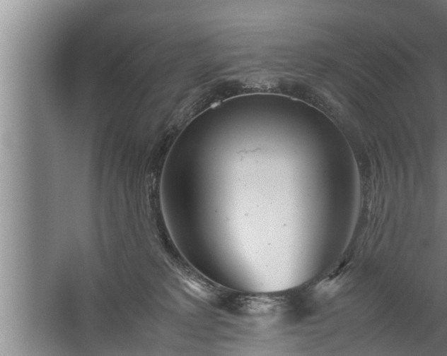 X0000059850229200510281900