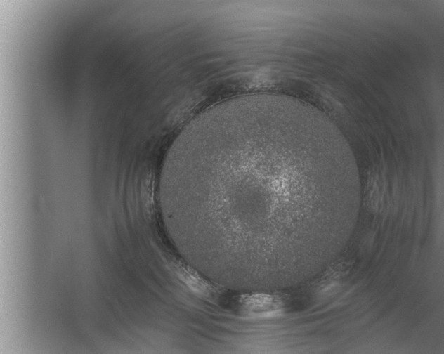 X0000059850230200510281900