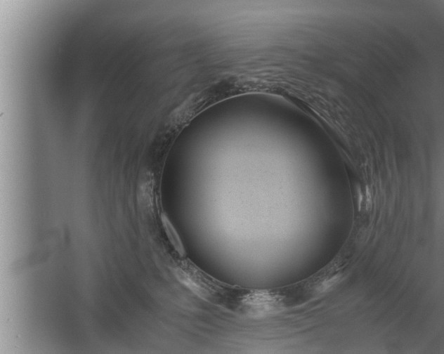 X0000059850231200510281900