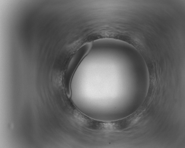 X0000059850233200510281900