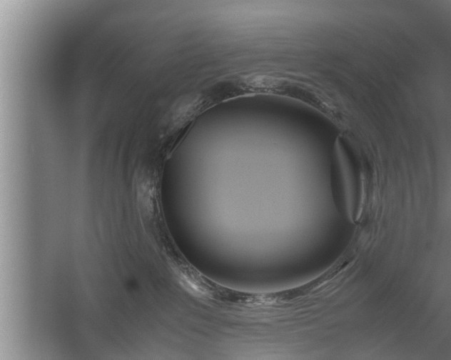 X0000059850235200510281859