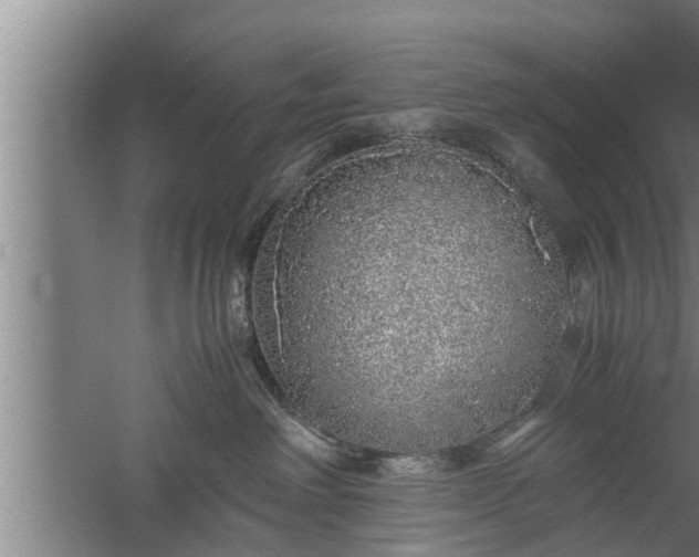 X0000059850238200510281859