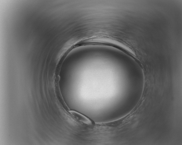 X0000059850242200510281859