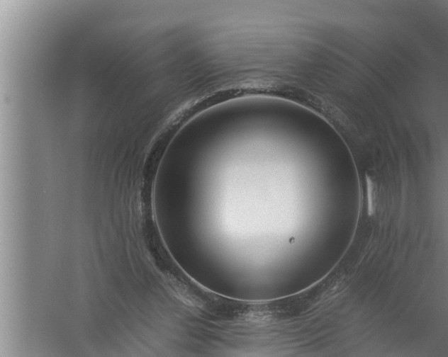 X0000059850252200510281859