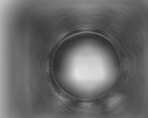 X0000059850255200510281859