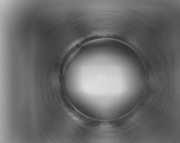 X0000059850256200510281859