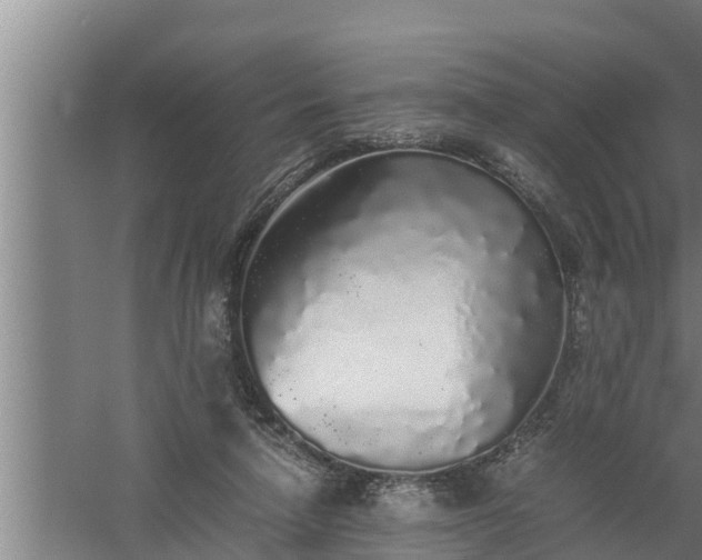 X0000059850258200510281859