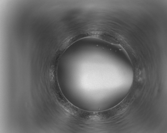 X0000059850259200510281859