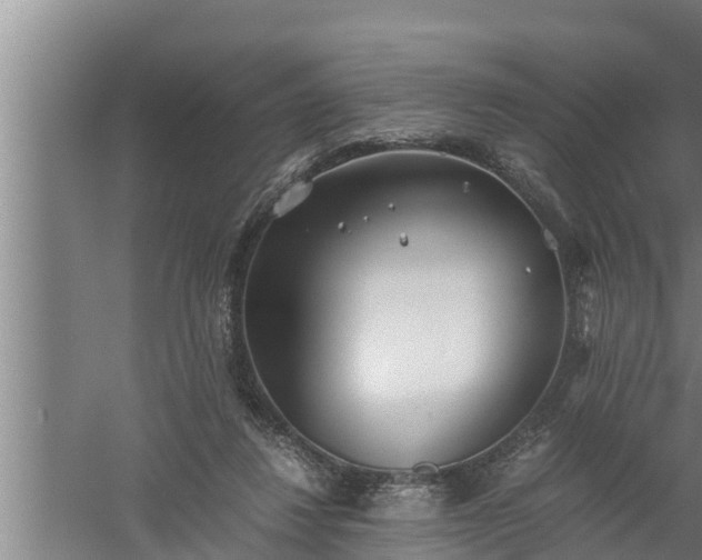 X0000059850260200510281859