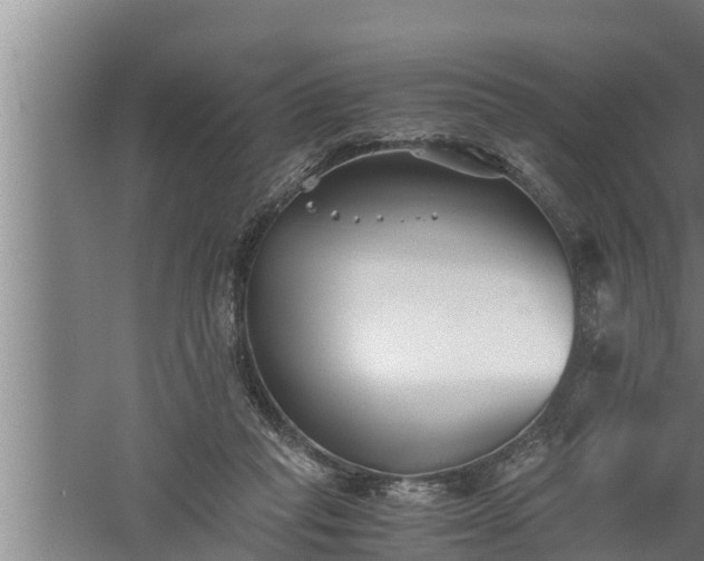 X0000059850261200510281859