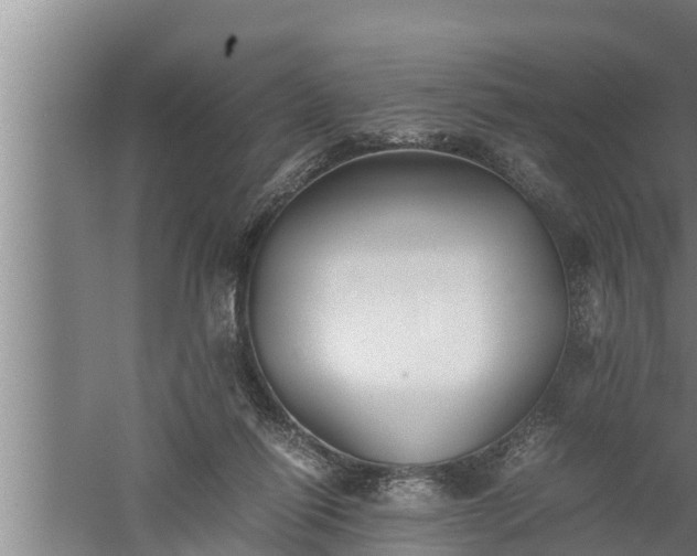 X0000059850262200510281859