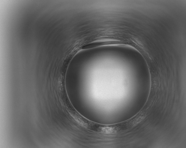 X0000059850265200510281859