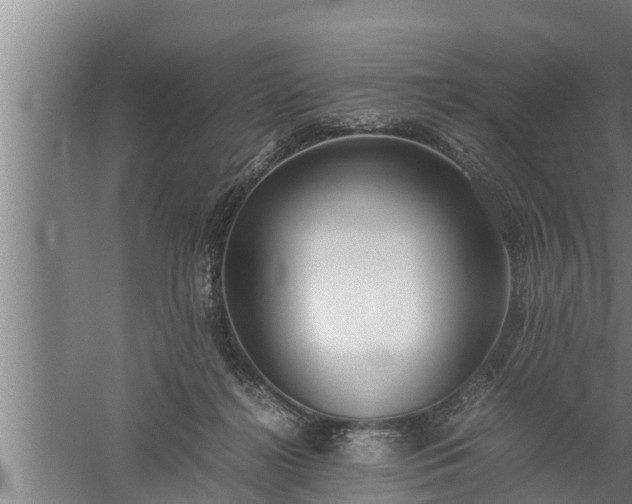 X0000059850268200510281859