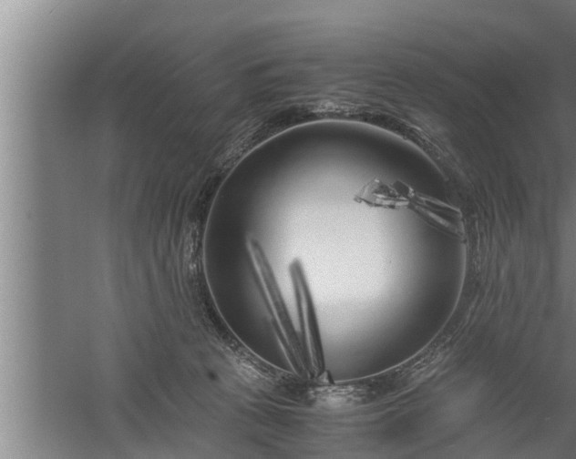 X0000059850273200510281859