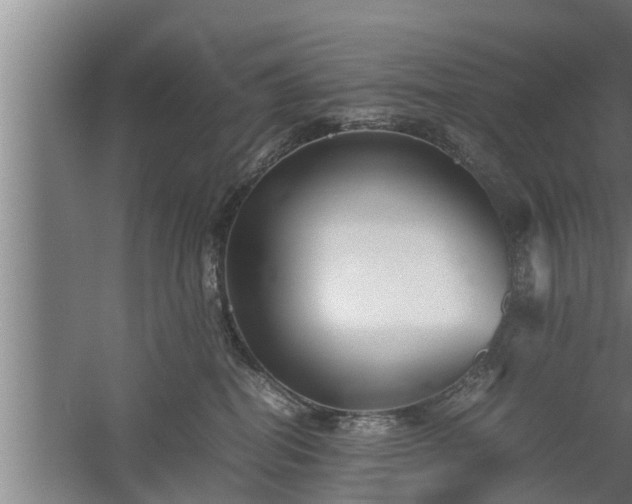 X0000059850282200510281859