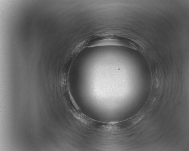 X0000059850284200510281859