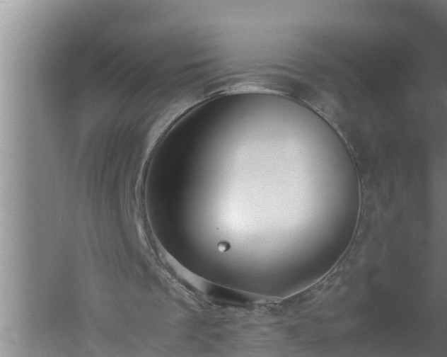 X0000059850289200510281859