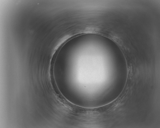 X0000059850292200510281859