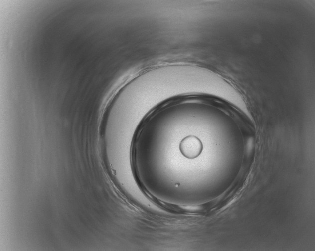 X0000059850293200510281858