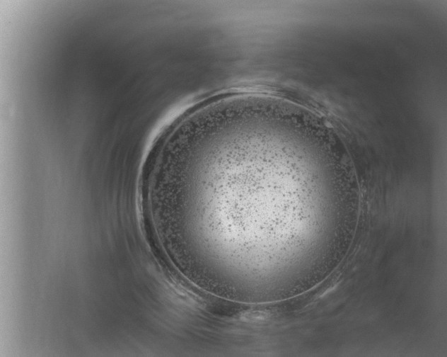 X0000059850294200510281858