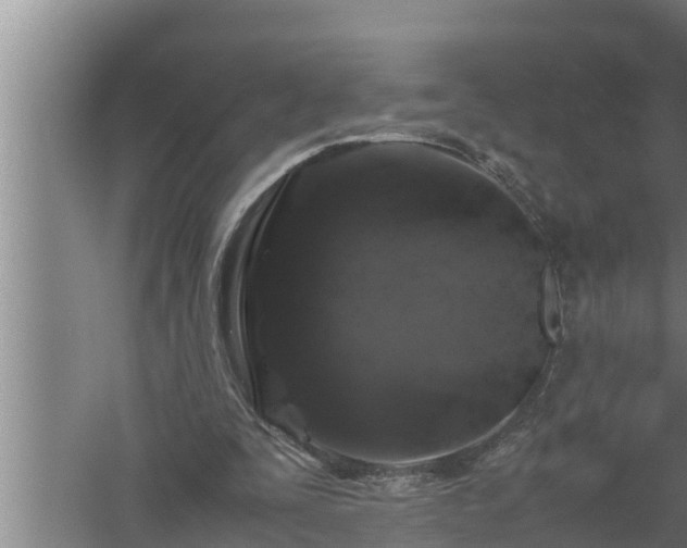 X0000059850295200510281858