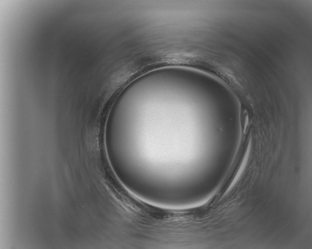 X0000059850299200510281858