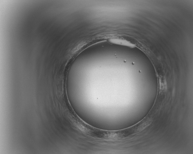 X0000059850301200510281858