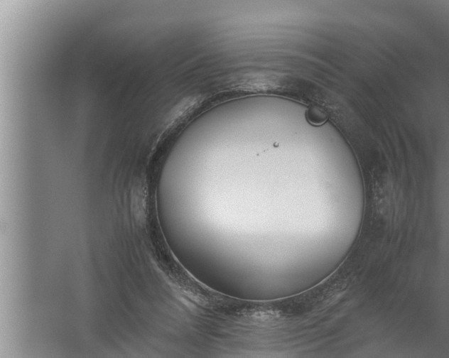 X0000059850304200510281858