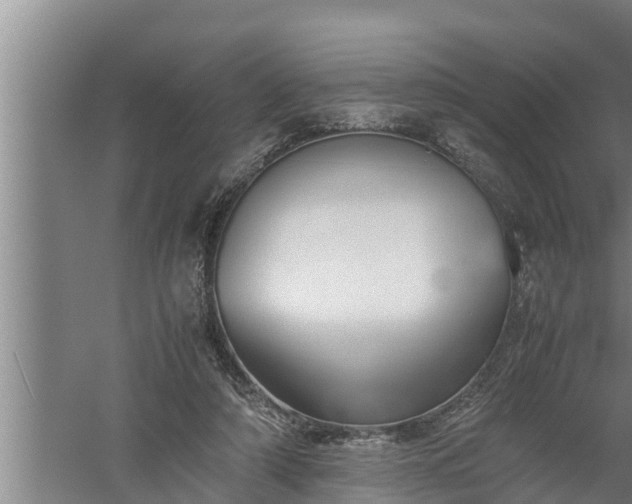 X0000059850306200510281858