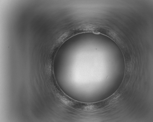 X0000059850309200510281858