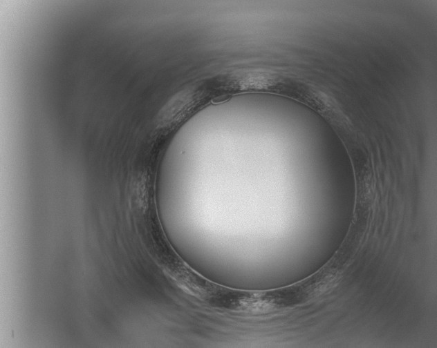 X0000059850311200510281858