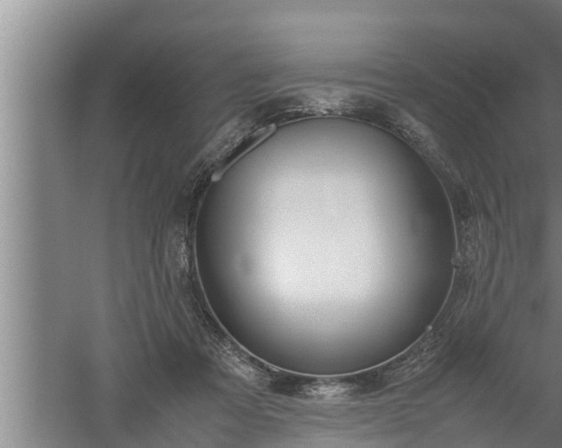 X0000059850313200510281858