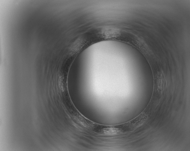 X0000059850316200510281858