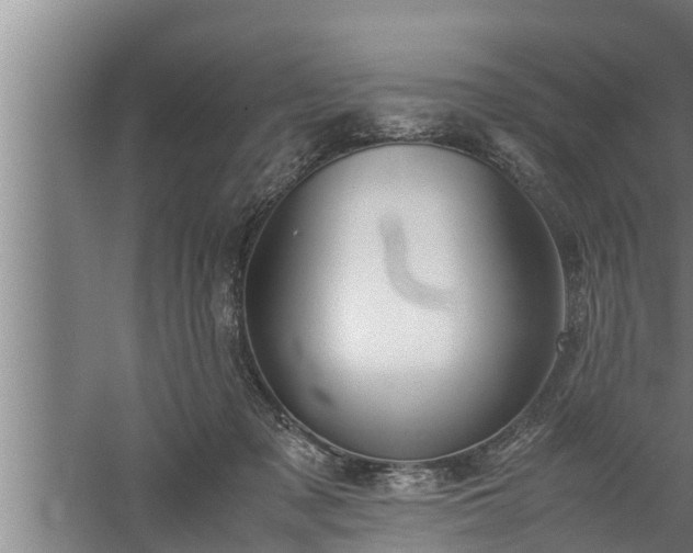 X0000059850317200510281858