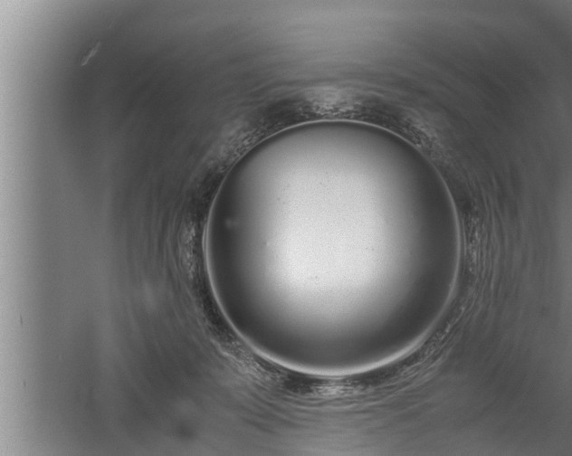 X0000059850319200510281858