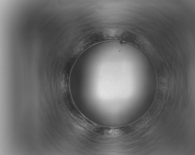 X0000059850324200510281858